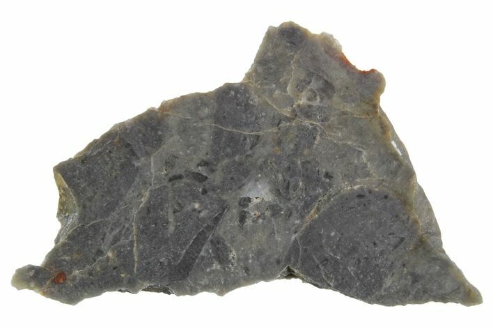 Lunar Meteorite Slice ( g) - NWA #360332
